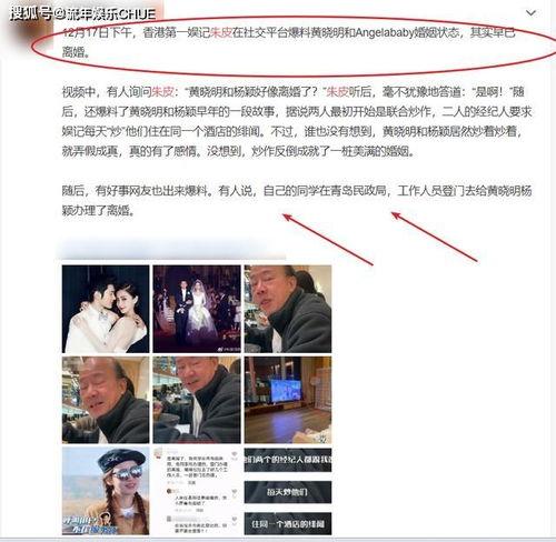 最近热度爆料新闻,真相与舆论的碰撞